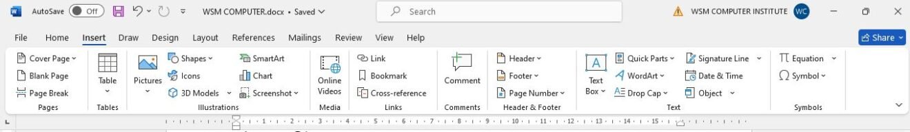Insert Menu in MS Word in Hindi Notes – WSM Computer